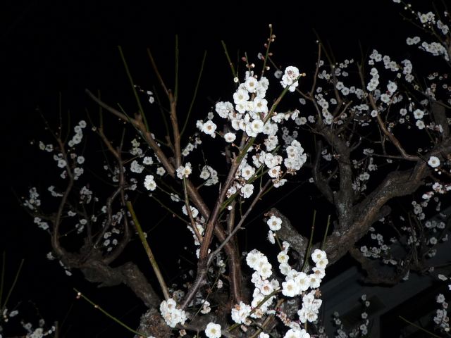 b0141664_0294380.jpg