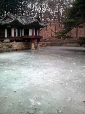 a0066377_052249.jpg