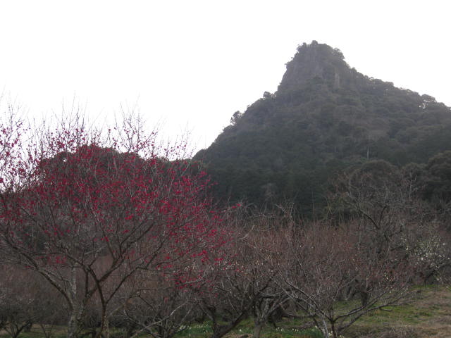 e0168877_21531619.jpg