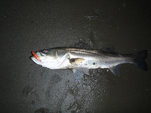f0069890_0564231.jpg
