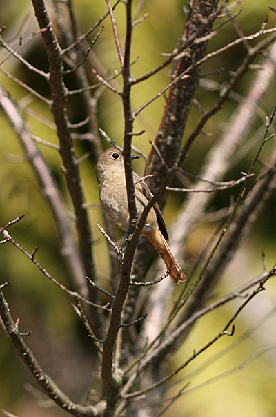 e0108592_23341311.jpg