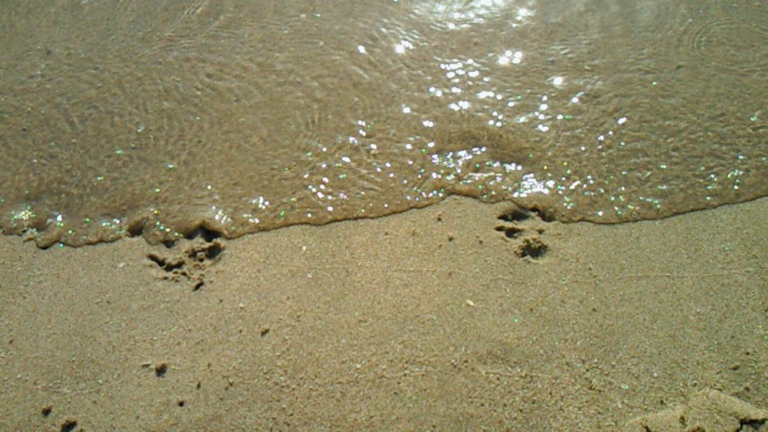 e0161194_22491045.jpg