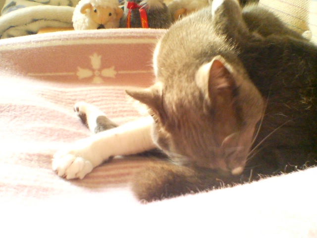 f0077595_16512159.jpg