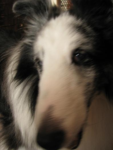 c0199096_11364182.jpg