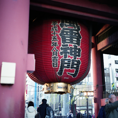 d0119505_5502245.jpg