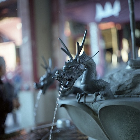 d0119505_5523517.jpg