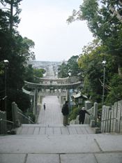 f0035506_6461451.jpg
