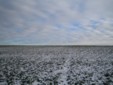d0135907_0264139.jpg