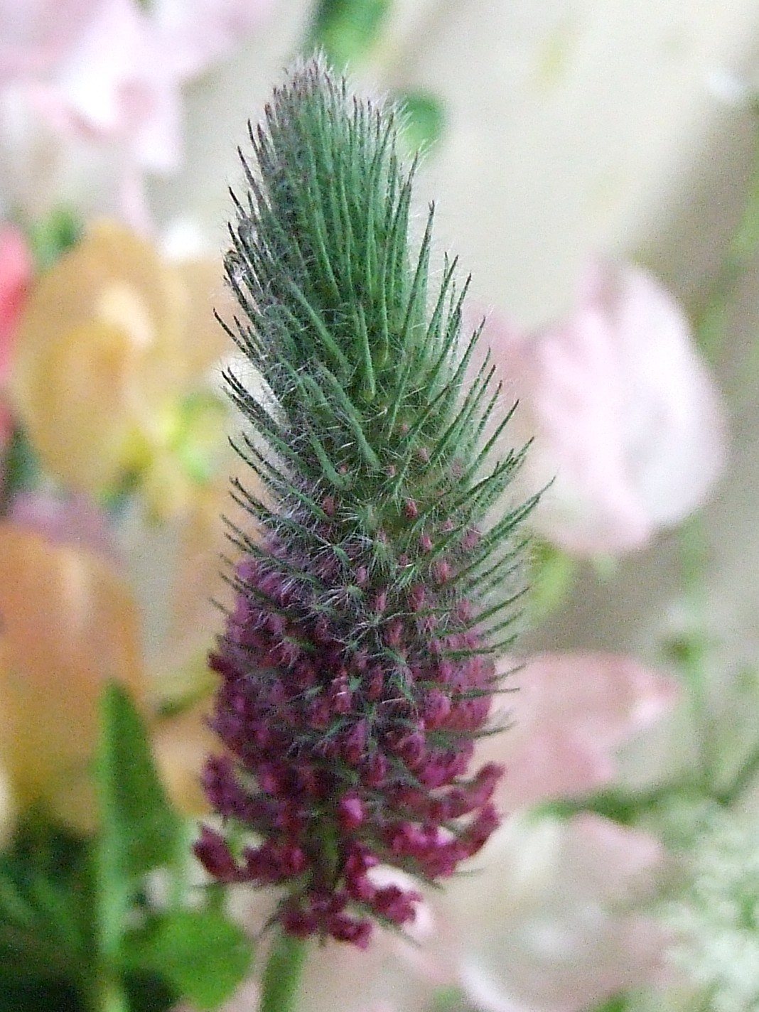 b0061010_1984995.jpg