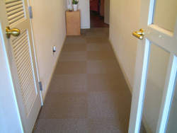 c0012120_0265039.jpg