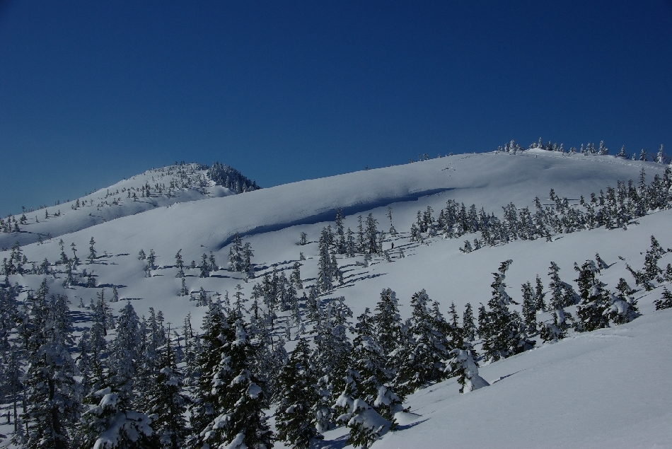 b0062024_21141453.jpg