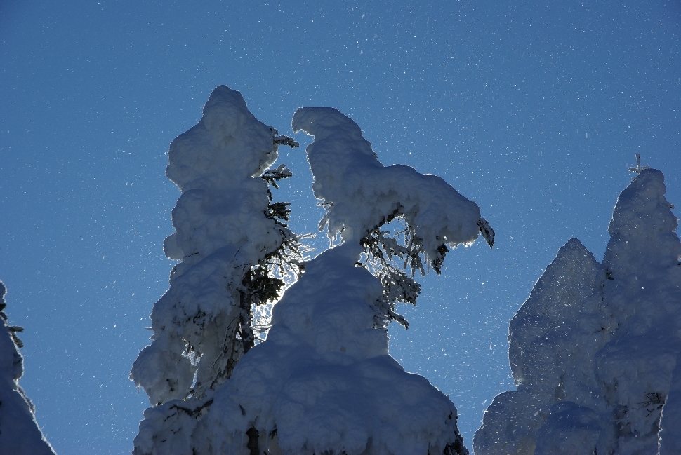 b0062024_2116449.jpg