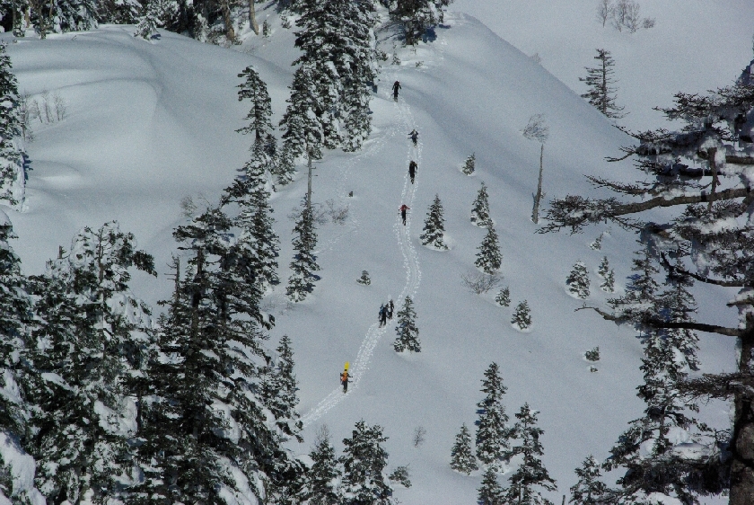 b0062024_21184351.jpg