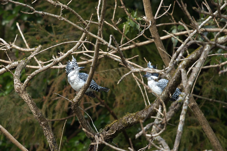 c0104226_22225314.jpg