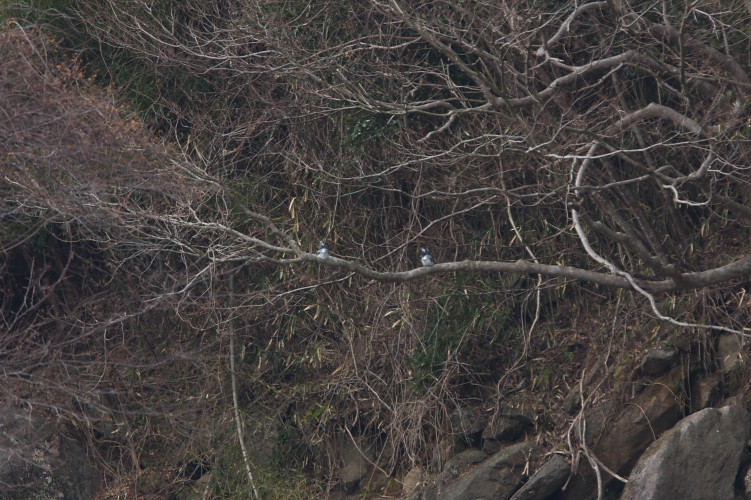 c0104226_22254330.jpg