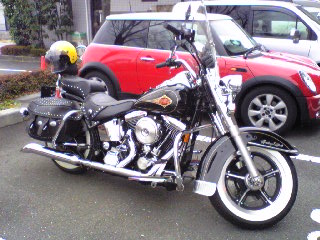 a0099129_1735166.jpg