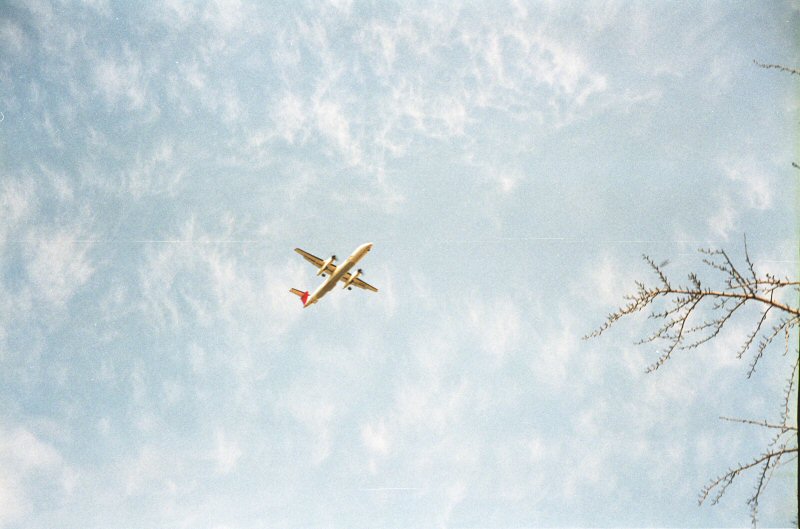 d0032931_23175359.jpg