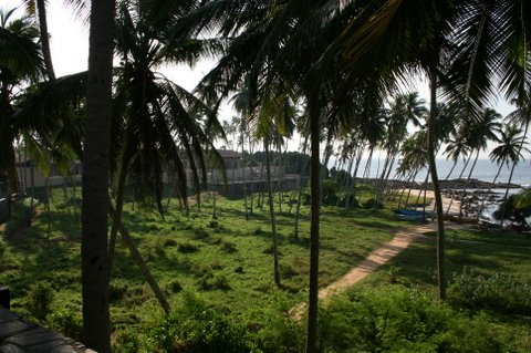 c0156438_10254639.jpg