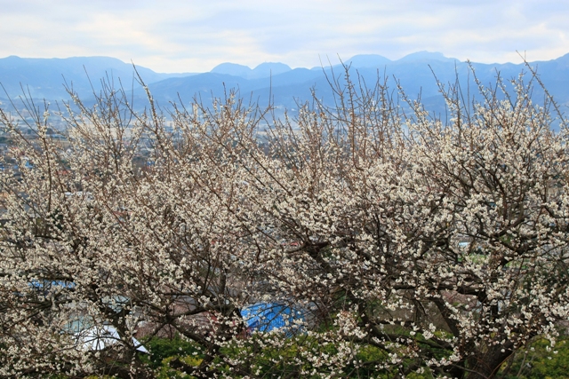 c0122445_18134968.jpg
