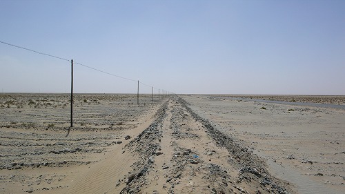 a0101253_012599.jpg