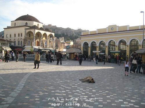 f0037264_814656.jpg