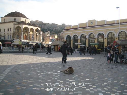 f0037264_822137.jpg