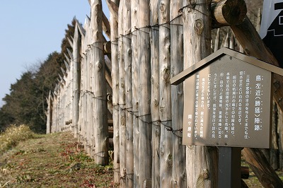f0106664_81591.jpg