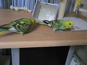 f0196665_0105438.jpg