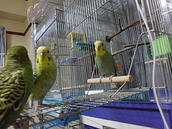 f0196665_0202559.jpg