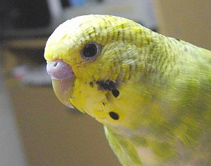 f0196665_0252835.jpg