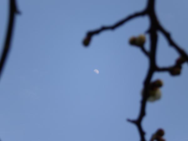e0164571_2317208.jpg