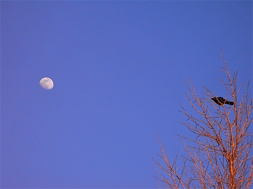 f0089079_281727.jpg