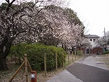 c0189683_16331581.jpg