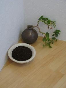 e0130185_17201686.jpg