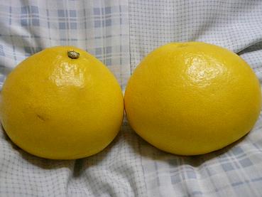 c0123890_21242429.jpg