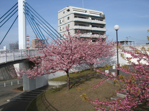 b0005596_66227.jpg