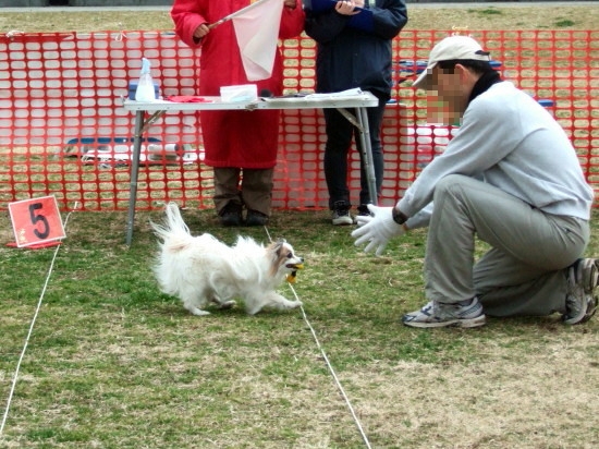 c0044199_21425042.jpg