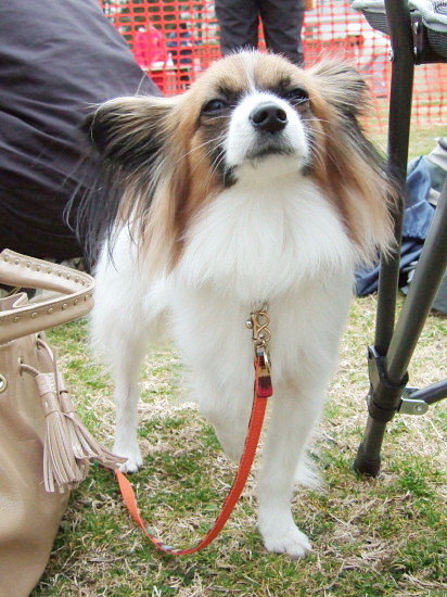 c0044199_21433056.jpg
