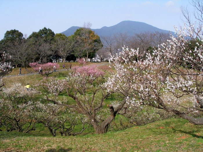 c0036203_20373923.jpg