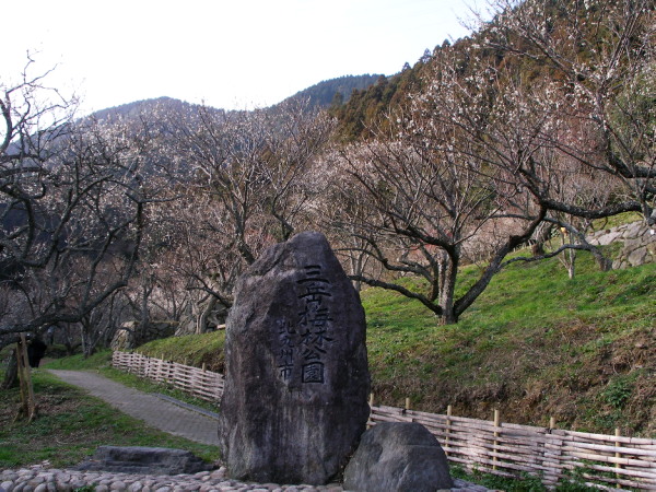 c0036203_20464848.jpg