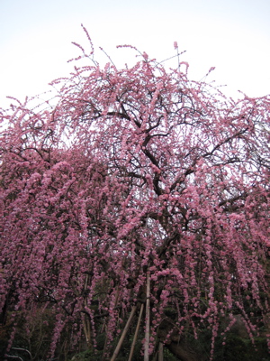 b0013005_22222938.jpg
