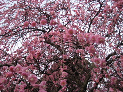 b0013005_22244027.jpg