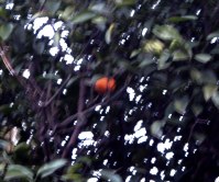 b0013005_23571430.jpg