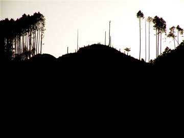 e0167315_23513851.jpg