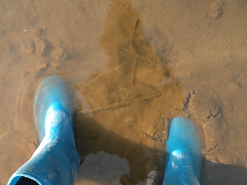 e0167315_2352390.jpg