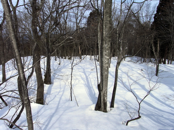 f0107315_1731387.jpg