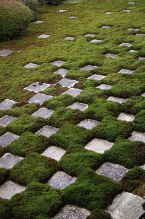 f0097620_155098.jpg