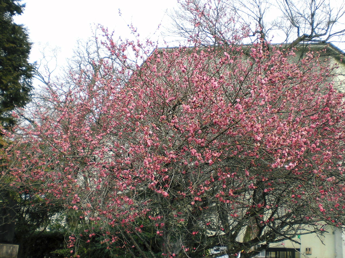 f0111128_01703.jpg