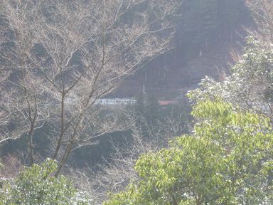 d0079440_11504396.jpg