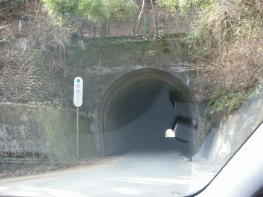 d0079440_11572930.jpg